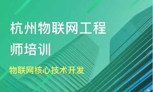 杭州物聯(lián)網(wǎng)核心技術(shù)開發(fā)價(jià)格及工程師培訓(xùn)選擇指南