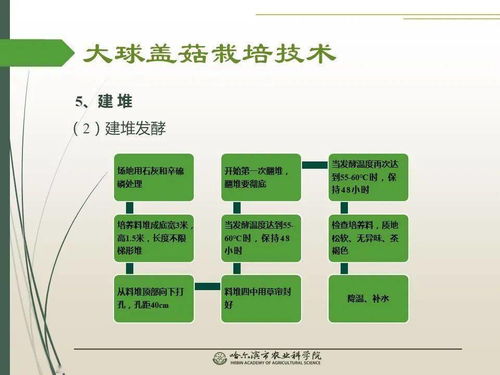 黨建引領(lǐng)謀發(fā)展 科技助農(nóng)備春耕 大球蓋菇栽培技術(shù)網(wǎng)絡(luò)課堂推動(dòng)農(nóng)業(yè)現(xiàn)代化