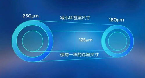 長飛展示新型單模光纖，助力5G網絡建設與技術創新